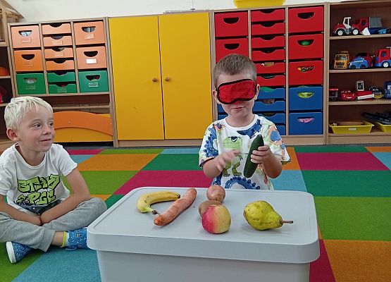 Grafika 12: DARY SADU I OGRODU