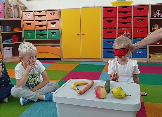 Grafika 13: DARY SADU I OGRODU