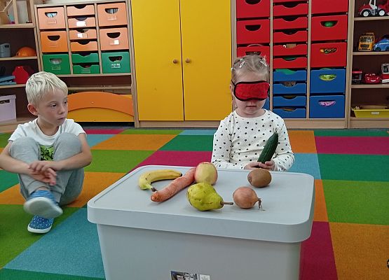 Grafika 14: DARY SADU I OGRODU