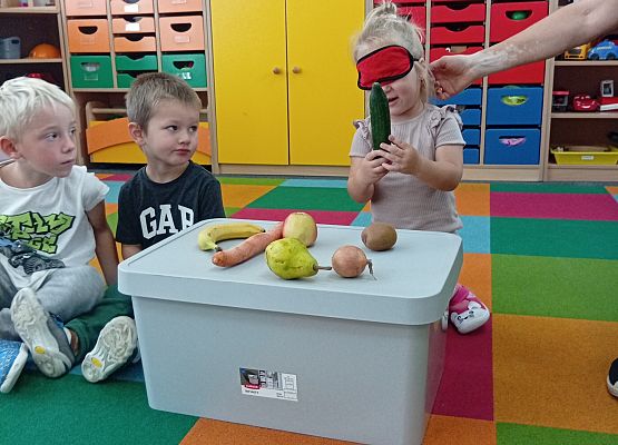 Grafika 15: DARY SADU I OGRODU