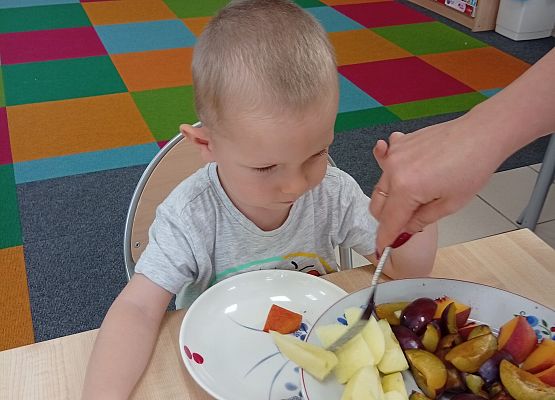 Grafika 24: DARY SADU I OGRODU