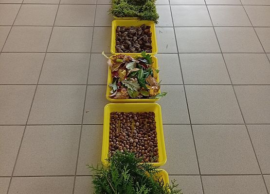 Grafika 2: Jesienna ścieżka sensoryczna