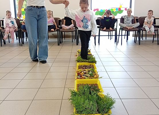 Grafika 1: Jesienna ścieżka sensoryczna