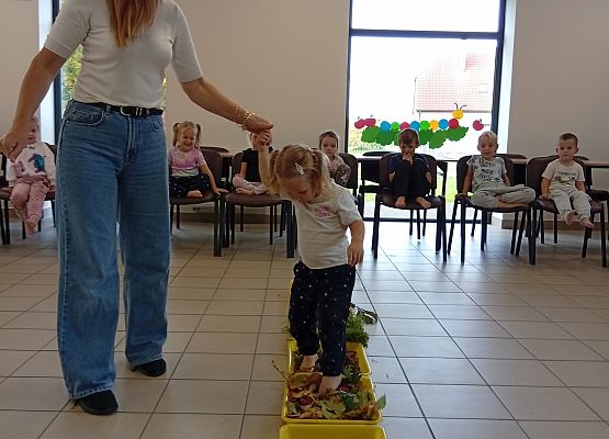 Grafika 3: Jesienna ścieżka sensoryczna