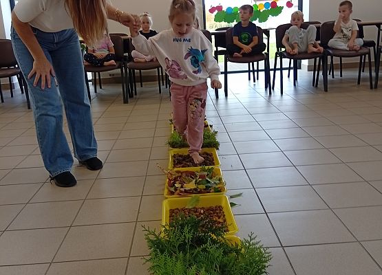 Grafika 4: Jesienna ścieżka sensoryczna