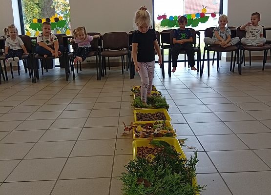 Grafika 5: Jesienna ścieżka sensoryczna