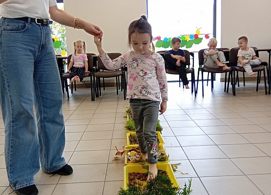 Grafika 6: Jesienna ścieżka sensoryczna