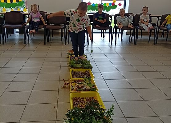 Grafika 7: Jesienna ścieżka sensoryczna