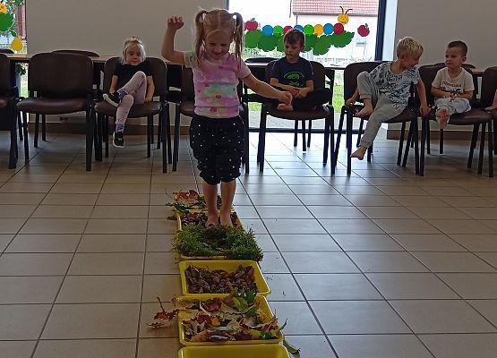 Grafika 8: Jesienna ścieżka sensoryczna