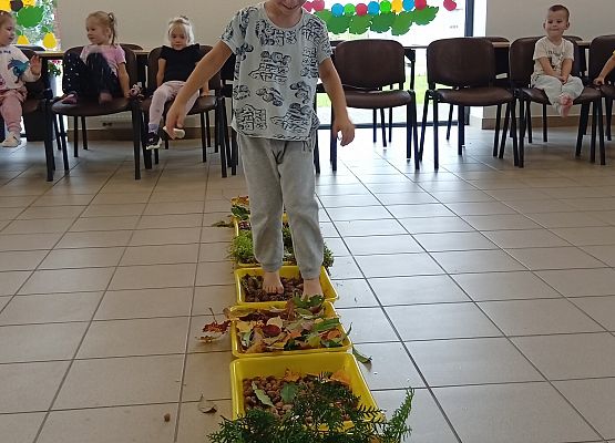 Grafika 10: Jesienna ścieżka sensoryczna