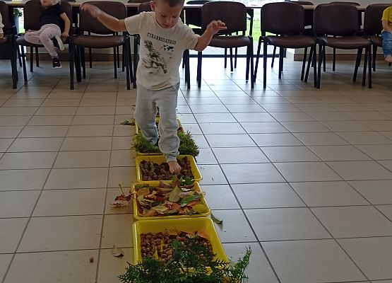 Grafika 11: Jesienna ścieżka sensoryczna
