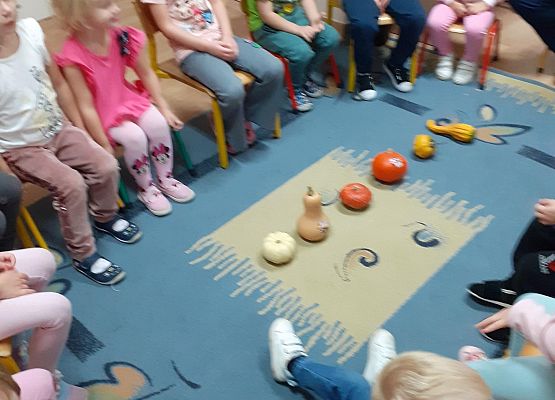 Grafika 5: Dzień Dyni