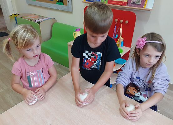 Grafika 5: WARZYWA Z MASY SOLNEJ