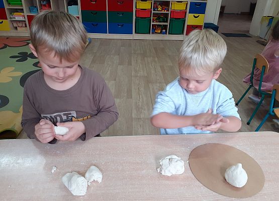 Grafika 8: WARZYWA Z MASY SOLNEJ