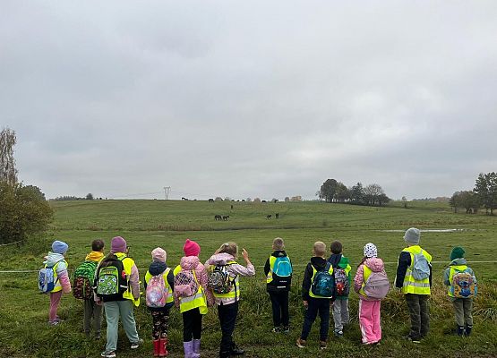 Grafika 1: Klasa 1a w terenie – zabawy i nauka w lesie 