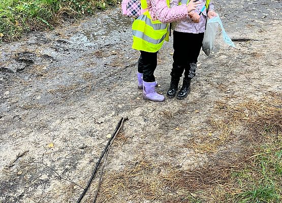 Grafika 11: Klasa 1a w terenie – zabawy i nauka w lesie 