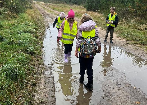 Grafika 4: Klasa 1a w terenie – zabawy i nauka w lesie 