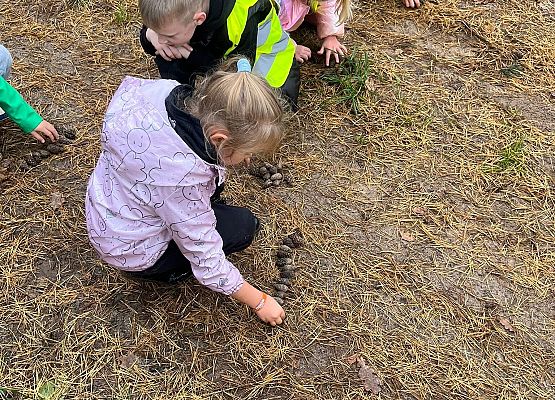 Grafika 5: Klasa 1a w terenie – zabawy i nauka w lesie 