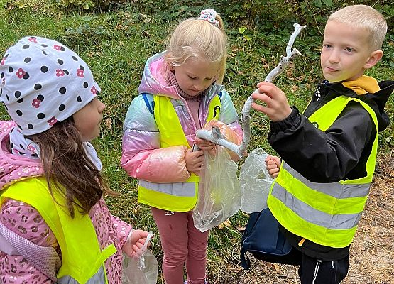 Grafika 6: Klasa 1a w terenie – zabawy i nauka w lesie 