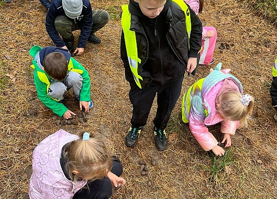 Grafika 9: Klasa 1a w terenie – zabawy i nauka w lesie 