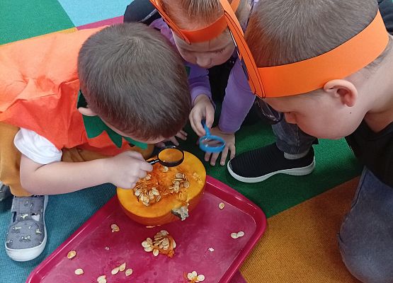 Grafika 45: ŚWIĘTO  DYNI