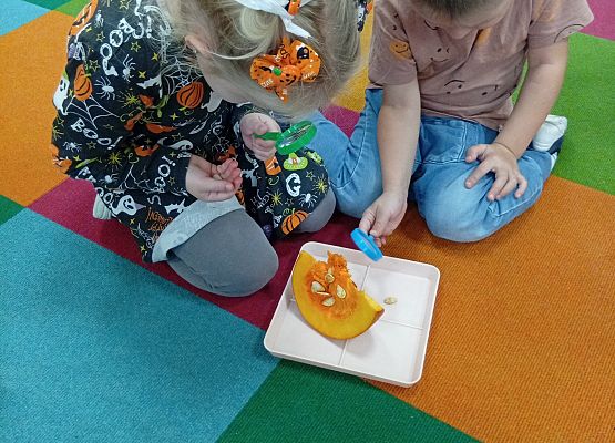 Grafika 46: ŚWIĘTO  DYNI