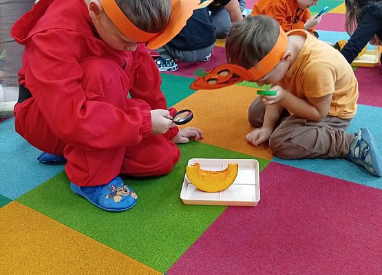 Grafika 47: ŚWIĘTO  DYNI