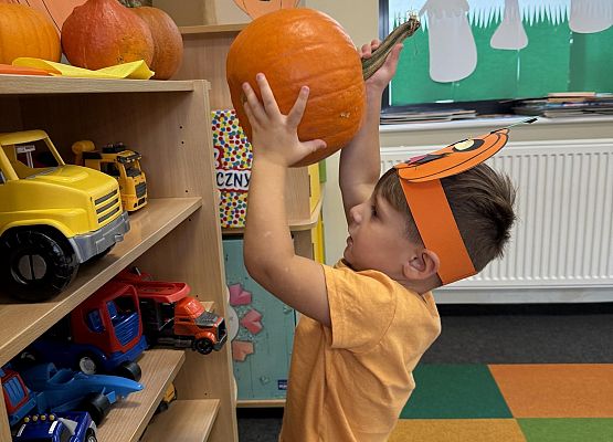 Grafika 9: ŚWIĘTO  DYNI