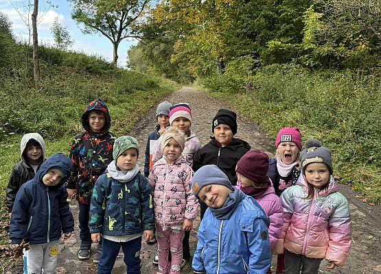 Grafika 1: KOLOROWA JESIEŃ