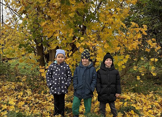 Grafika 2: KOLOROWA JESIEŃ