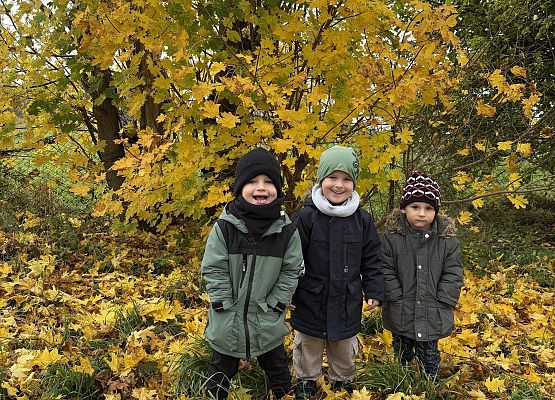 Grafika 3: KOLOROWA JESIEŃ