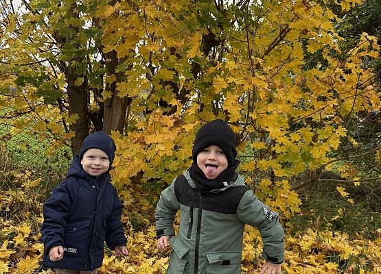 Grafika 6: KOLOROWA JESIEŃ