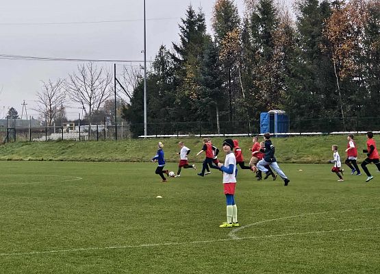 Grafika 3: Aktywne obchody Narodowego Święta Niepodległości