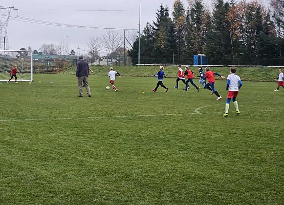 Grafika 4: Aktywne obchody Narodowego Święta Niepodległości