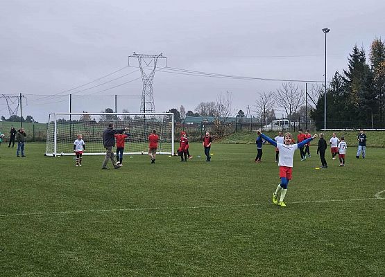 Grafika 5: Aktywne obchody Narodowego Święta Niepodległości