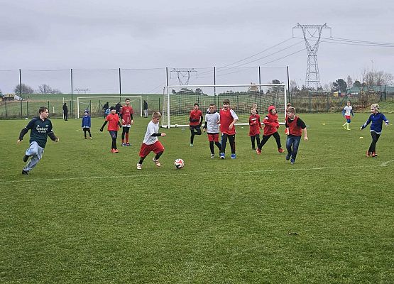 Grafika 6: Aktywne obchody Narodowego Święta Niepodległości