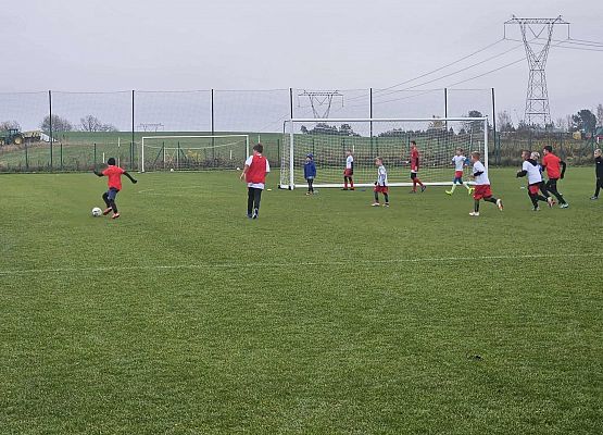 Grafika 7: Aktywne obchody Narodowego Święta Niepodległości