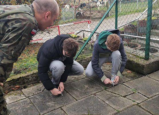 Grafika 4: Edukacja z wojskiem