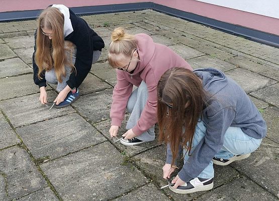 Grafika 5: Edukacja z wojskiem