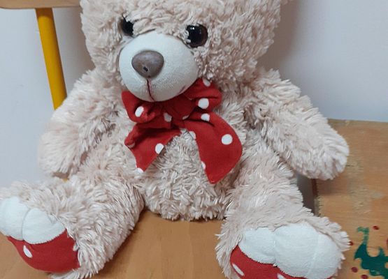 Grafika 19: Dzień Pluszowego Misia - fotogaleria