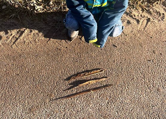 Grafika 8: Klasa 1a w terenie – nauka przez działanie!