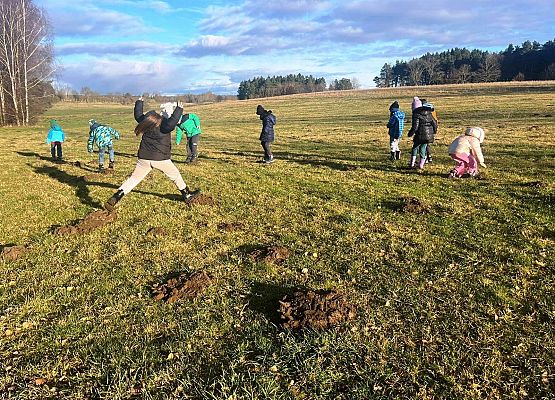 Grafika 10: Klasa 1a w terenie – nauka przez działanie!