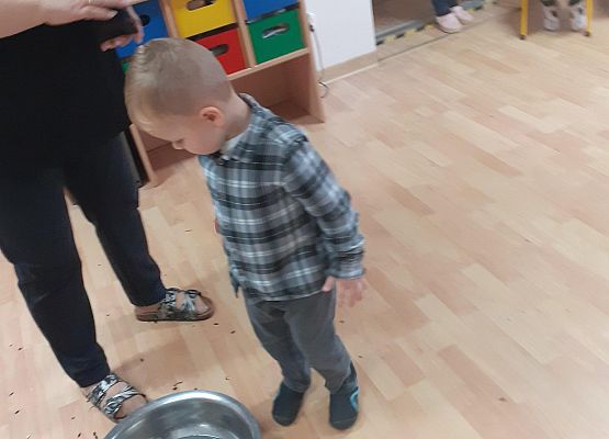 Grafika 75: Andrzejki..