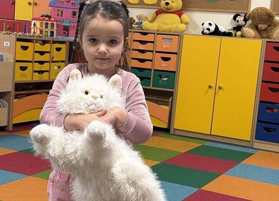 Grafika 42: DZIEŃ PLUSZOWEGO MISIA