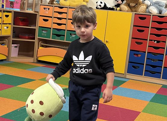 Grafika 43: DZIEŃ PLUSZOWEGO MISIA