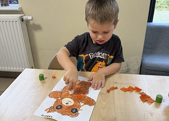 Grafika 55: DZIEŃ PLUSZOWEGO MISIA