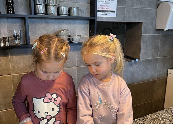 Grafika 12: MANUFAKTURA SŁODYCZY