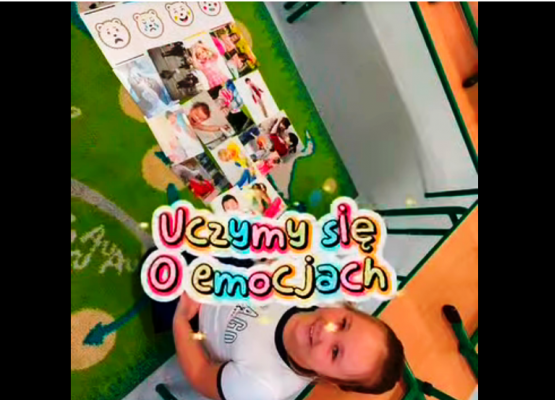 Grafika 4: Zajęcia projektowe z psychologiem