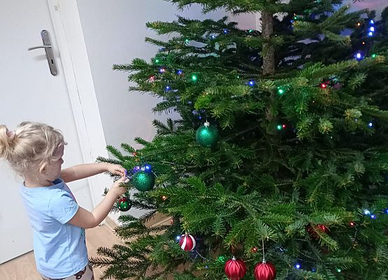 Grafika 62: Przygotowania do świąt