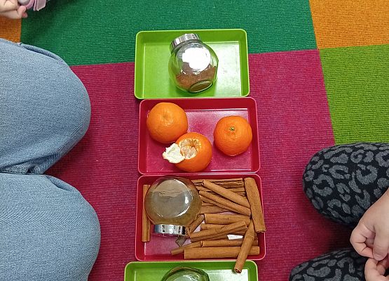 Grafika 8: Nasze zmysły